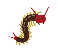 ムカデ